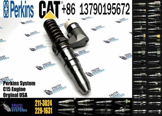 Excavator Injector 2113024 211-3024 0R4118 0R-4118 for C15 Engine Parts Diesel Nozzle Assembly