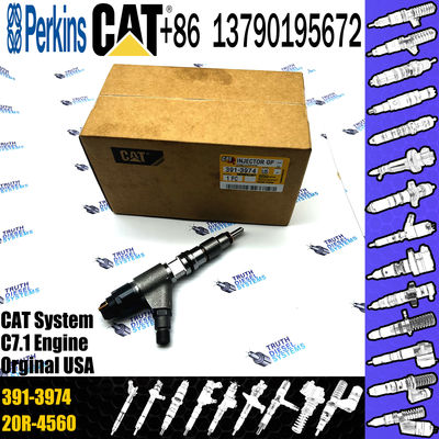 High quality Diesel Injector 391-3974 3913974 254-4399 2544399 265-8106 2658106
