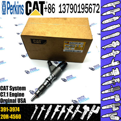 High quality Diesel Injector 391-3974 3913974 254-4399 2544399 265-8106 2658106