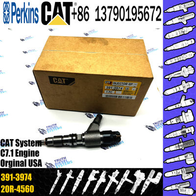 High quality Diesel Injector 391-3974 3913974 254-4399 2544399 265-8106 2658106