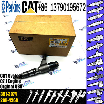 High quality Diesel Injector 391-3974 3913974 254-4399 2544399 265-8106 2658106