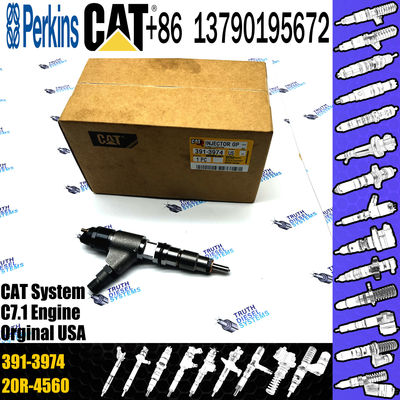 High quality Diesel Injector 391-3974 3913974 254-4399 2544399 265-8106 2658106