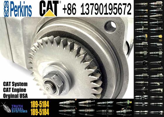 Diesel Fuel Injection Pump 189-5184 254-4357 for CAT C7 C9 Excavator E330D E336D E340DL