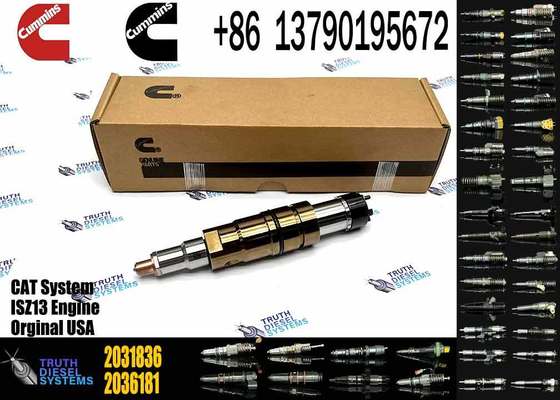 For scania Fuel Injector 1881565 2894920 2031836 1874425 1933613 2086663 4307217