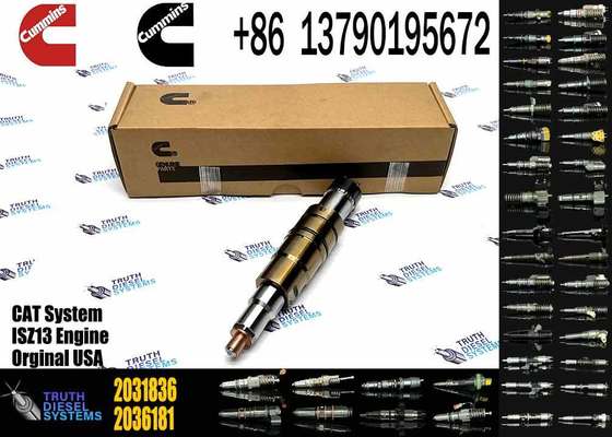 For scania Fuel Injector 1881565 2894920 2031836 1874425 1933613 2086663 4307217
