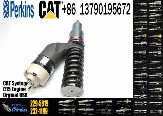10R-1000 10R1000 229-5919 Fuel Injector for Caterpillar CAT