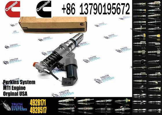 Common Rail Fuel Injector 4928171 Diesel Injector 4928171