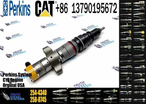 Diesel Fuel Injector 254-4340 245-3516 254-4330 254-4339 for Caterpillar C9 Engine