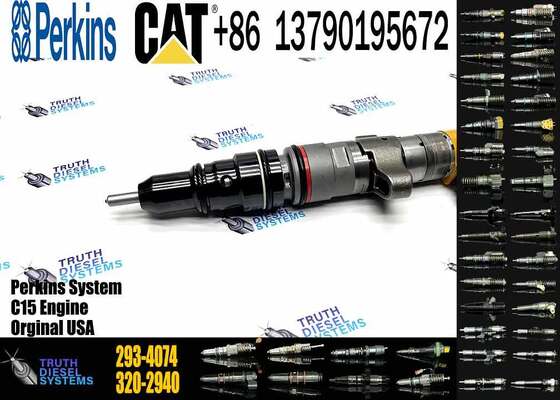 C9 HEUI Injector 258-8745 Diesel Fuel Injector 265-8106 293-4074 for Caterpillar Excavator C9 Engine Parts