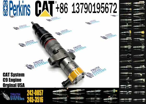 Excavator Accessories Fuel Injector 225-0117 236-0957 238-8092 240-8063 242-0857 245-3516 for CAT C9 Construction Machinery