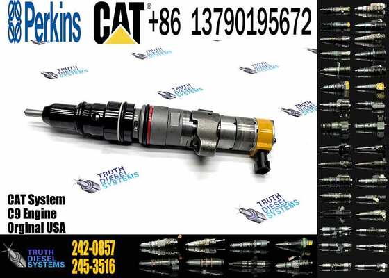 Excavator Accessories Fuel Injector 225-0117 236-0957 238-8092 240-8063 242-0857 245-3516 for CAT C9 Construction Machinery