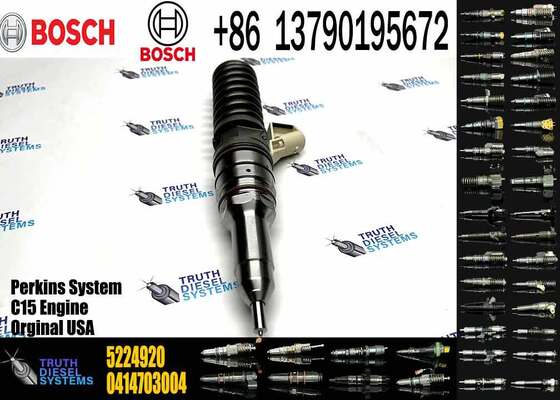 Hot Sell Common Rail Fuel Injector 0414703003 0414703005 0414703007 5224920