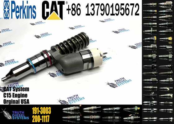 Excavator Accessories for CAT C11 C13 C15 Fuel Injector 191-3003 1913003 200-1117 2001117 for Construction Machinery