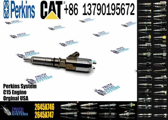 Quality Common Rail Fuel Injector 320-0677 2645A746 10R-7671 2645A738 3200677 3069377 Engine Fuel Injector for Engine 320D C4.4