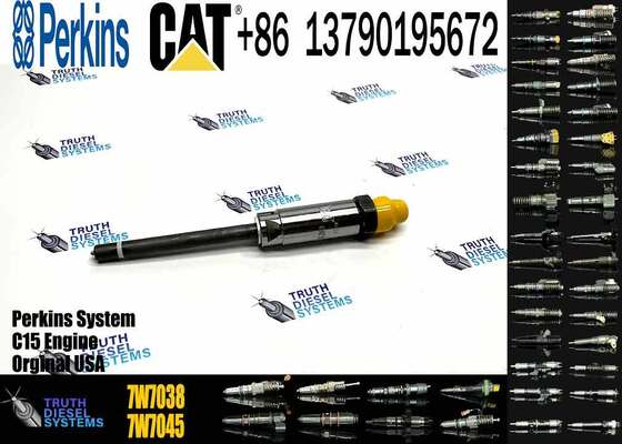 E3304 E3306 E3304B E3306B Engine Injector 1705187 4W7018 4W7017 8N7005 7W7038 7W5187 0R4124