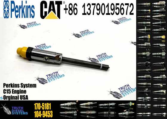 Fuel Injector 153-7923 162-0212 162-8809 162-8813 170-5181 171-9704 171-9710 172-5780 174-7526
