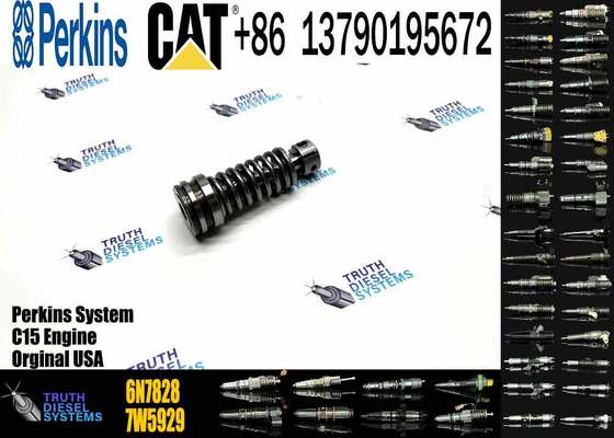 High Quality Fuel Injection Pump Plunger 9H5797 1W6541 7W5929 6N7828 7W6929 HRCA4P9830 for Excavator