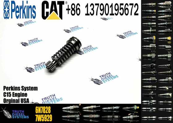 High Quality Fuel Injection Pump Plunger 9H5797 1W6541 7W5929 6N7828 7W6929 HRCA4P9830 for Excavator