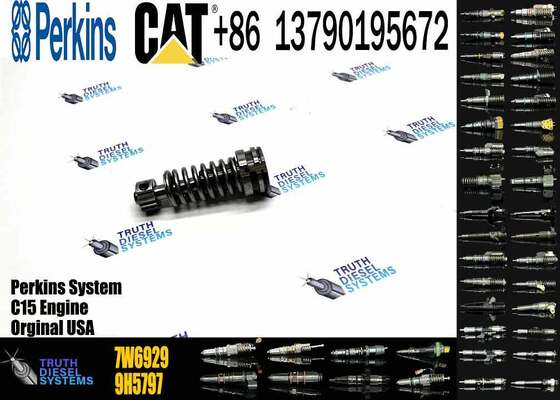 High Quality Fuel Injection Pump Plunger 9H5797 1W6541 7W5929 6N7828 7W6929 HRCA4P9830 for Excavator