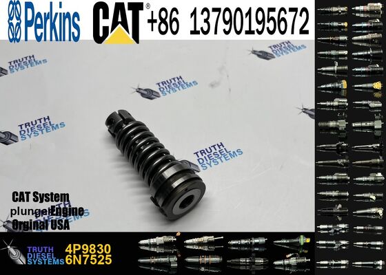 Diesel Fuel Injection Pump Plunger 1w6541 4p9830 9h5797 6n7527 Plunger Barrel 7w5929 Element for Cat 3304 3306 Diesel Engine