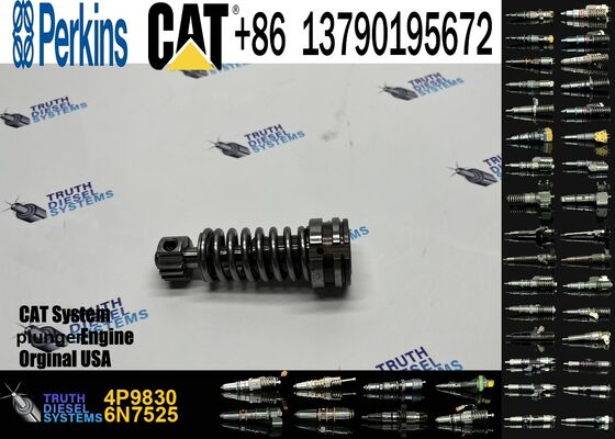 Diesel Fuel Injection Pump Plunger 1w6541 4p9830 9h5797 6n7527 Plunger Barrel 7w5929 Element for Cat 3304 3306 Diesel Engine