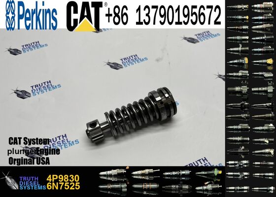 Diesel Fuel Injection Pump Plunger 1w6541 4p9830 9h5797 6n7527 Plunger Barrel 7w5929 Element for Cat 3304 3306 Diesel Engine